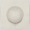James Cullinane, Sphere Quartet IV, 2010