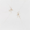 Robert Walden, Ontological Road Map 081610, 2010