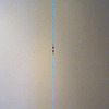 James Clark, Tralfamadorian, 2006