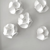 Liz Jaff, Boil, 2011