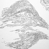 Colin Keefe, Architectural Pollination Study 16, 2010