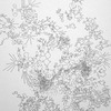 Colin Keefe, Architectural Pollination Study 11, 2010