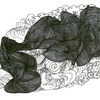Deanna Lee, Slug, 2008