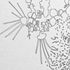 Colin Keefe, Architectural Pollination Study 11 (detail), 2010