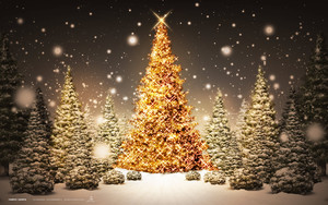 Tannenbaum