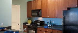 100 Park, apartments in Wyomissing, PA