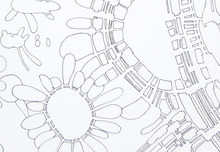 Mycelia-detail3