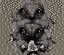 Cullinane_vaultremix3