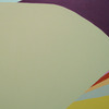 Patty Cateura, Purple Peak, 2010