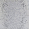 Phillip Buntin, Hermaphroditus, 2008