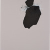 Derek Lerner, Asvirus 9, 2010