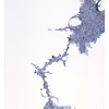 Derek Lerner, Asvirus 31, 2011