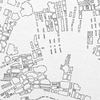 Colin Keefe, Architectural Pollination Study 12 (detail), 2010
