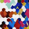 Richard Garrison, Product Packaging/Hex (Garrison Household, September 2009 – January 2011, 2009-11