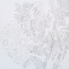 Colin Keefe, Mycelia, 2010