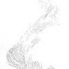 Colin Keefe, Drifter, 2011