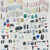 Elise Engler, Everything I Took to the Galapagos, 2008