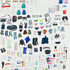 Elise Engler, Everything I Brought Back from the Galapagos, 2008