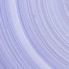 Robert Lansden, Untitled (Detail), 2011