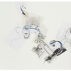 Sharon Lawless, Iris, 2012