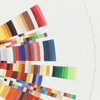Richard Garrison, Circular Color Scheme: Office Max, 1/10 - 1/16, 2010, Pgs. 6 – 7, 2010