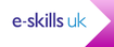 E-skills