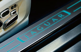 C2D48822 Деталь SCUFF PLATE, LEFT