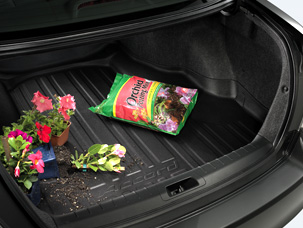 Trunk Tray Trunk Tray