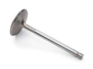 10241743 Деталь VALVES
