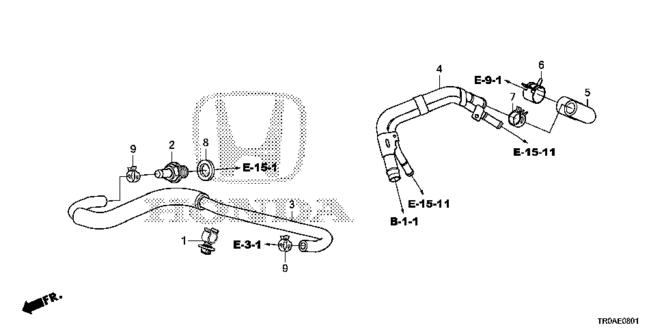 CIVIC SEDAN PCV TUBE (2.4L)
