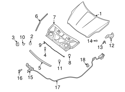 Altima HOOD & COMPONENTS
