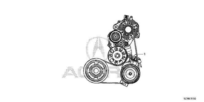 TLX ALTERNATOR BELT (1)