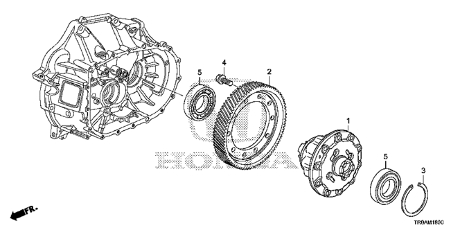 CIVIC SEDAN MT DIFFERENTIAL (2.4L)