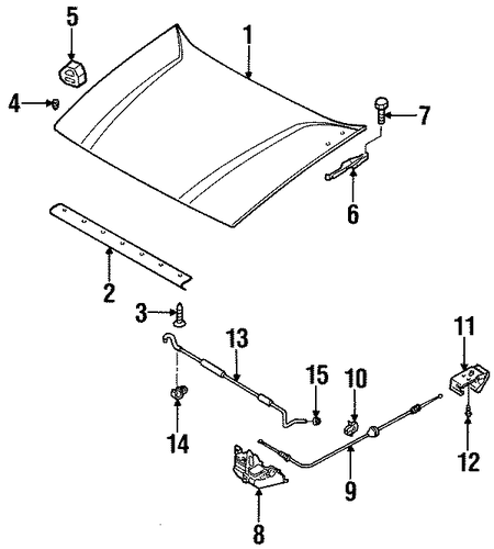 Rodeo HOOD & COMPONENTS