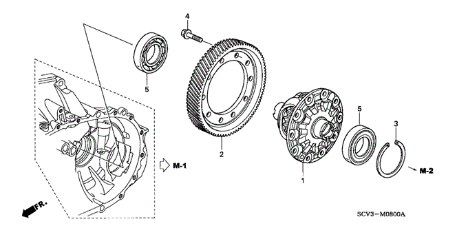 ELEMENT MT DIFFERENTIAL (2WD)