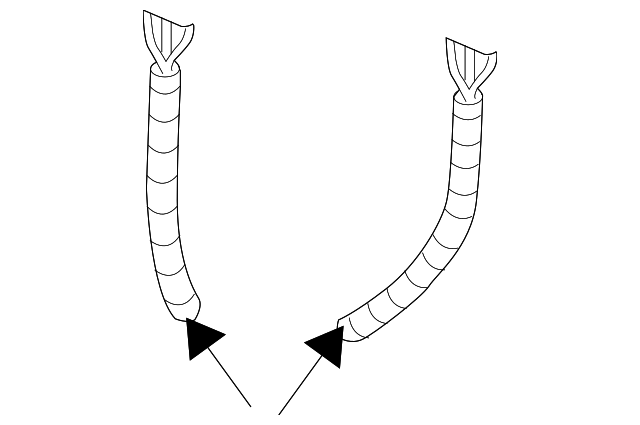 15187415 HARNESS