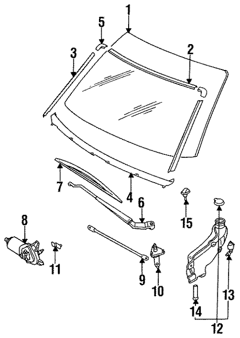 M30 GLASS - WINDSHIELD