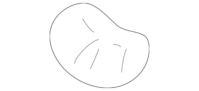 10411527 END SEAL, LEFT