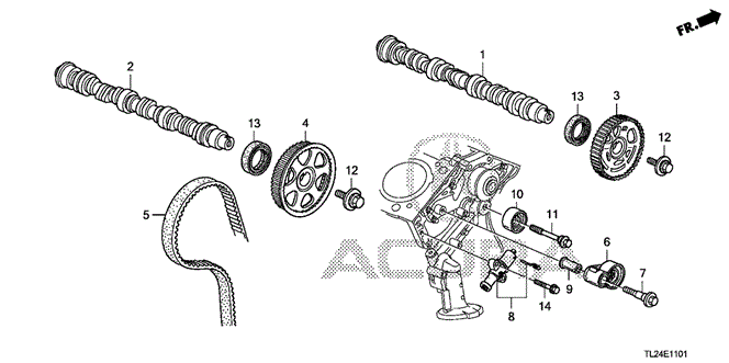 TSX SEDAN CAMSHAFT - TIMING BELT (V6)