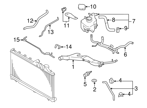 Impreza HOSES & LINES