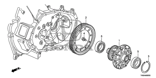 FIT MT DIFFERENTIAL