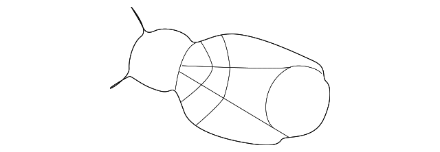 63-21-8-362-363 Деталь BULB