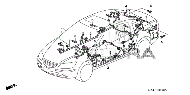 RL WIRE HARNESS (3)