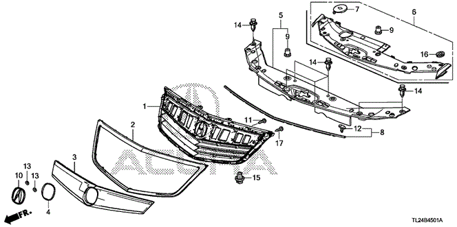 TSX SEDAN FRONT GRILLE (2)