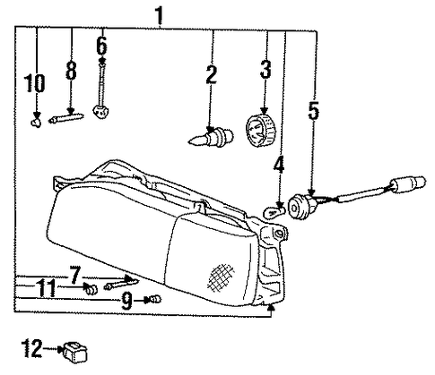 Precis BULBS - CHASSIS 3