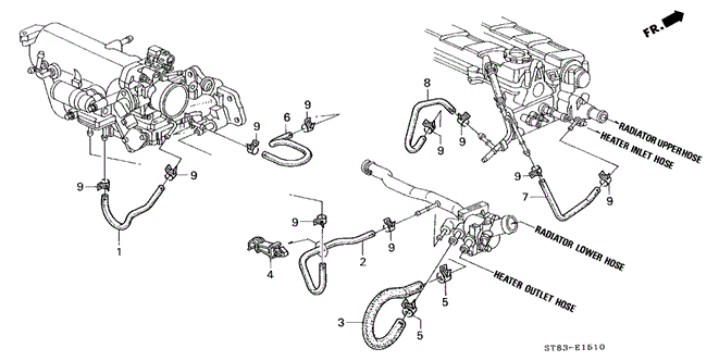 INTEGRA SEDAN WATER HOSE (1)