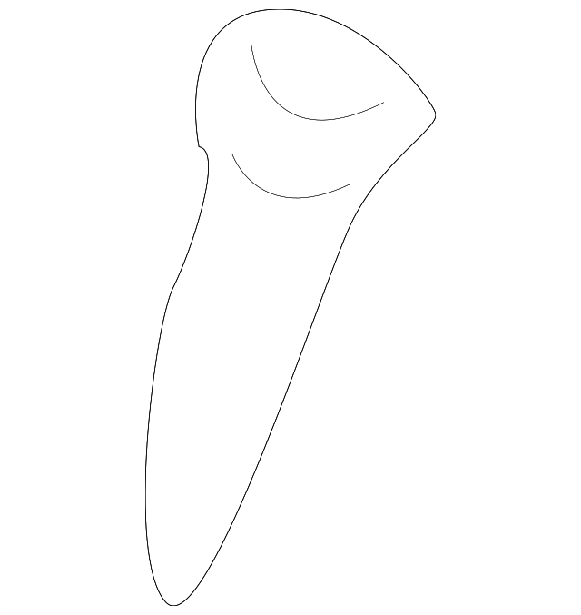 12474357 GUIDE, RIGHT