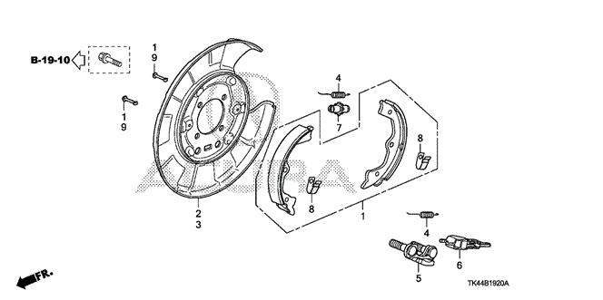 TL PARKING BRAKE SHOE