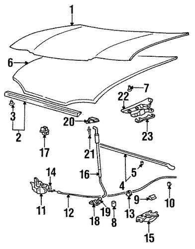 Sonata HOOD & COMPONENTS