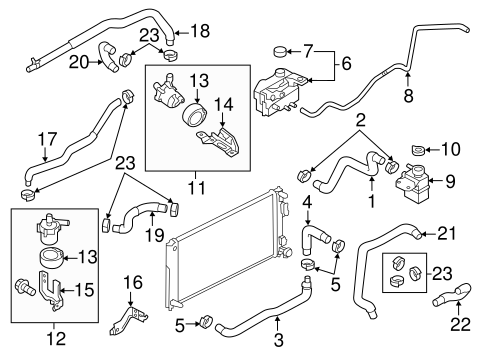 Leaf HOSES & LINES 2